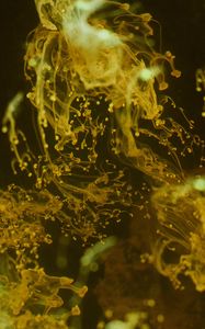 Preview wallpaper liquid, yellow, spray, macro