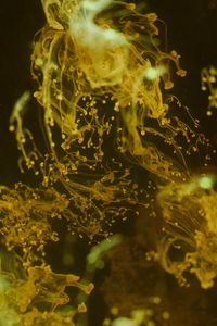Preview wallpaper liquid, yellow, spray, macro