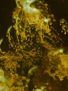 Preview wallpaper liquid, yellow, spray, macro
