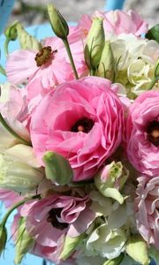 Preview wallpaper lisianthus russell, bouquet, chair, shadow