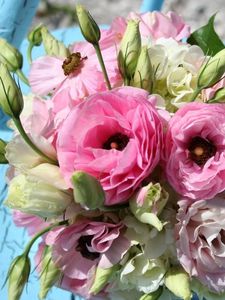 Preview wallpaper lisianthus russell, bouquet, chair, shadow