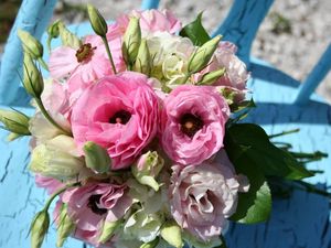 Preview wallpaper lisianthus russell, bouquet, chair, shadow