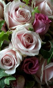 Preview wallpaper lisianthus russell, roses, flowers, bouquet, drop, freshness, leaves