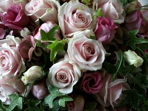 Preview wallpaper lisianthus russell, roses, flowers, bouquet, drop, freshness, leaves