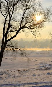 Preview wallpaper lithuania, kaunas, trees, snow, haze, glade, light