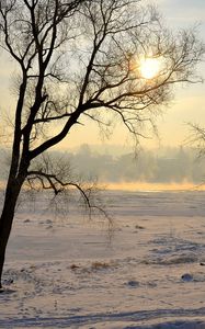 Preview wallpaper lithuania, kaunas, trees, snow, haze, glade, light