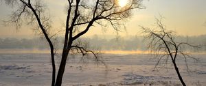 Preview wallpaper lithuania, kaunas, trees, snow, haze, glade, light