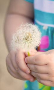 Preview wallpaper little girl, dandelion, mood