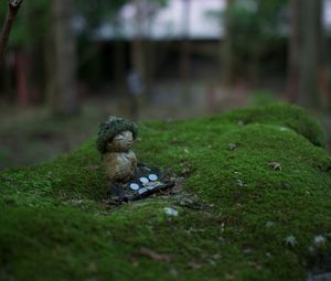 Preview wallpaper little man, moss, blur, macro