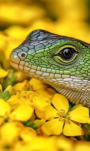 Preview wallpaper lizard, reptile, flowers, bright, wildlife