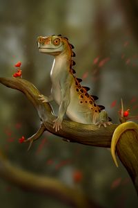 Preview wallpaper lizard, reptile, funny, art