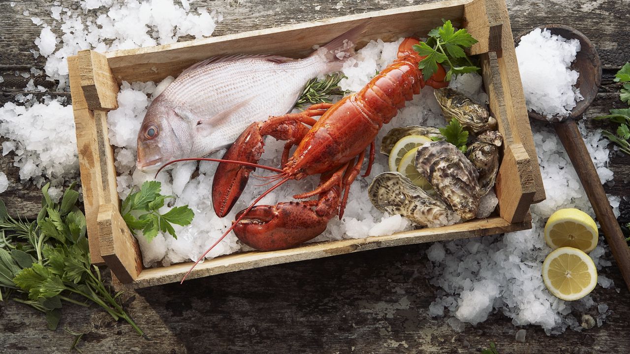 Wallpaper lobster, fish, mussels, ice, seafood, box