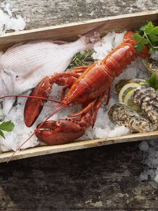 Preview wallpaper lobster, fish, mussels, ice, seafood, box