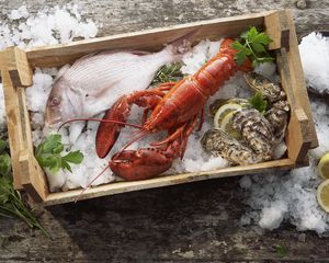 Preview wallpaper lobster, fish, mussels, ice, seafood, box