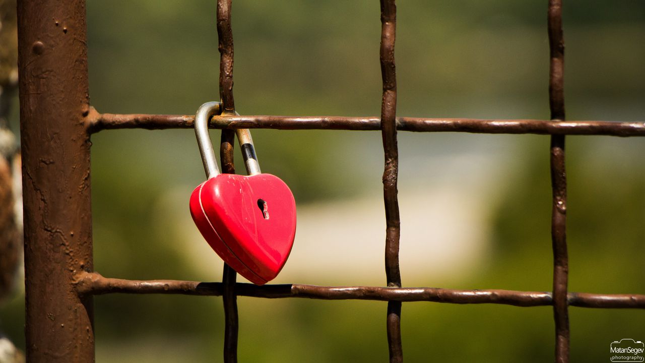 Wallpaper lock, heart, fence, lattice