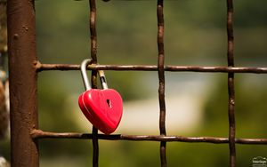 Preview wallpaper lock, heart, fence, lattice