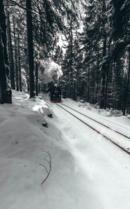 Preview wallpaper locomotive, train, forest, snow, winter