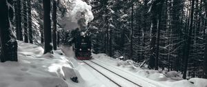 Preview wallpaper locomotive, train, forest, snow, winter