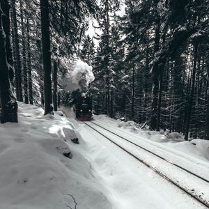 Preview wallpaper locomotive, train, forest, snow, winter