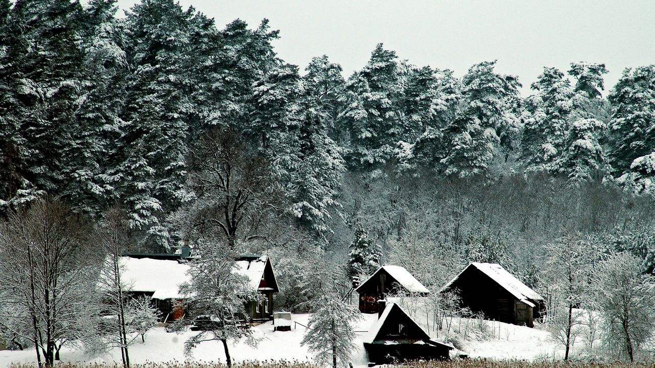 Wallpaper lodges, trees, mighty, winter, snow