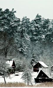 Preview wallpaper lodges, trees, mighty, winter, snow