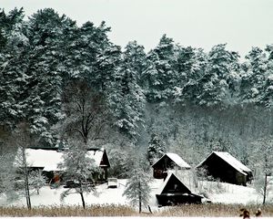 Preview wallpaper lodges, trees, mighty, winter, snow