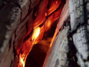 Preview wallpaper log, fire, ash, macro