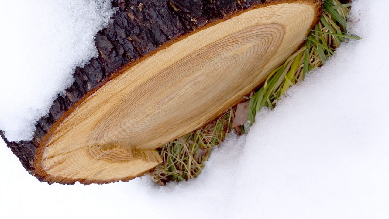 Wallpaper log, snow, winter, white