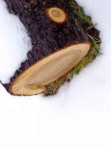 Preview wallpaper log, snow, winter, white