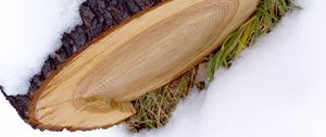 Preview wallpaper log, snow, winter, white