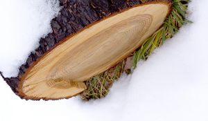 Preview wallpaper log, snow, winter, white