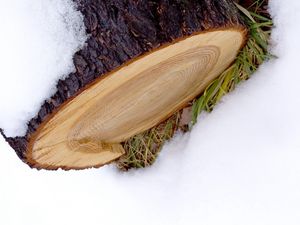 Preview wallpaper log, snow, winter, white