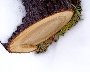 Preview wallpaper log, snow, winter, white