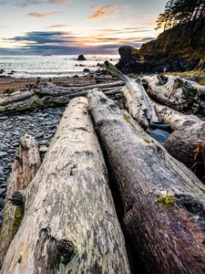 Preview wallpaper logs, coast, sunset, stones