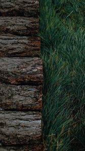 Preview wallpaper logs, grass, bark, green