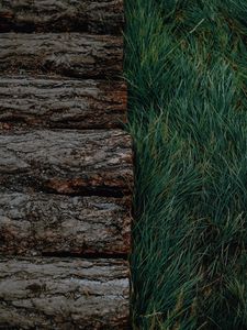 Preview wallpaper logs, grass, bark, green