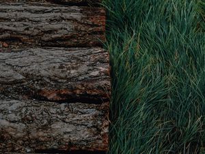 Preview wallpaper logs, grass, bark, green