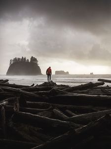 Preview wallpaper logs, sea, coast, man, silhouette