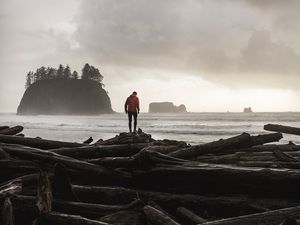 Preview wallpaper logs, sea, coast, man, silhouette