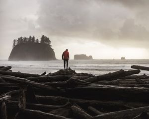 Preview wallpaper logs, sea, coast, man, silhouette