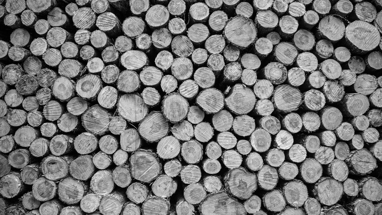 Wallpaper logs, tree, black and white