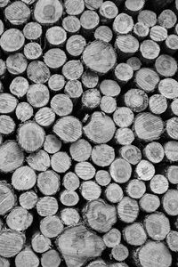 Preview wallpaper logs, tree, black and white