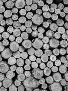 Preview wallpaper logs, tree, black and white