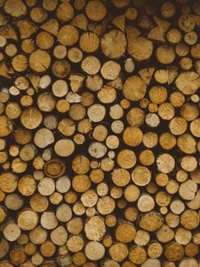 Preview wallpaper logs, wooden, wood, cut