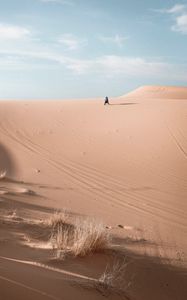 Preview wallpaper loneliness, alone, desert, horizon