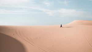 Preview wallpaper loneliness, alone, desert, horizon