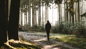 Preview wallpaper loneliness, alone, forest, trees