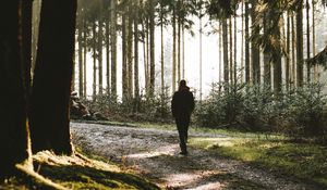 Preview wallpaper loneliness, alone, forest, trees