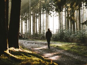 Preview wallpaper loneliness, alone, forest, trees