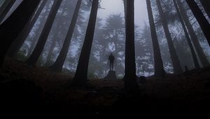 Preview wallpaper loneliness, alone, forest, fog, darkness